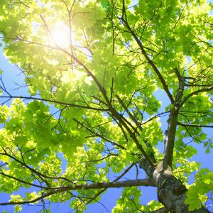 欧美女人和猪内谢视频
